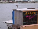 DSCN1636.jpg